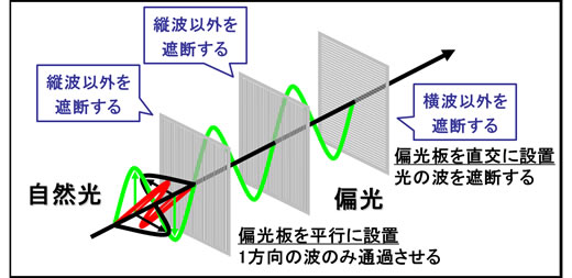 偏光フィルムとは